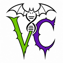 BlackHelix Studio & Vampcraft
